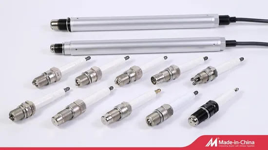 Prechamber Spark Plugs 12452828 12453572 for Mwm Tcg2020 Natural Gas Engine